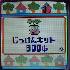 Tamagotchi iD L pictures