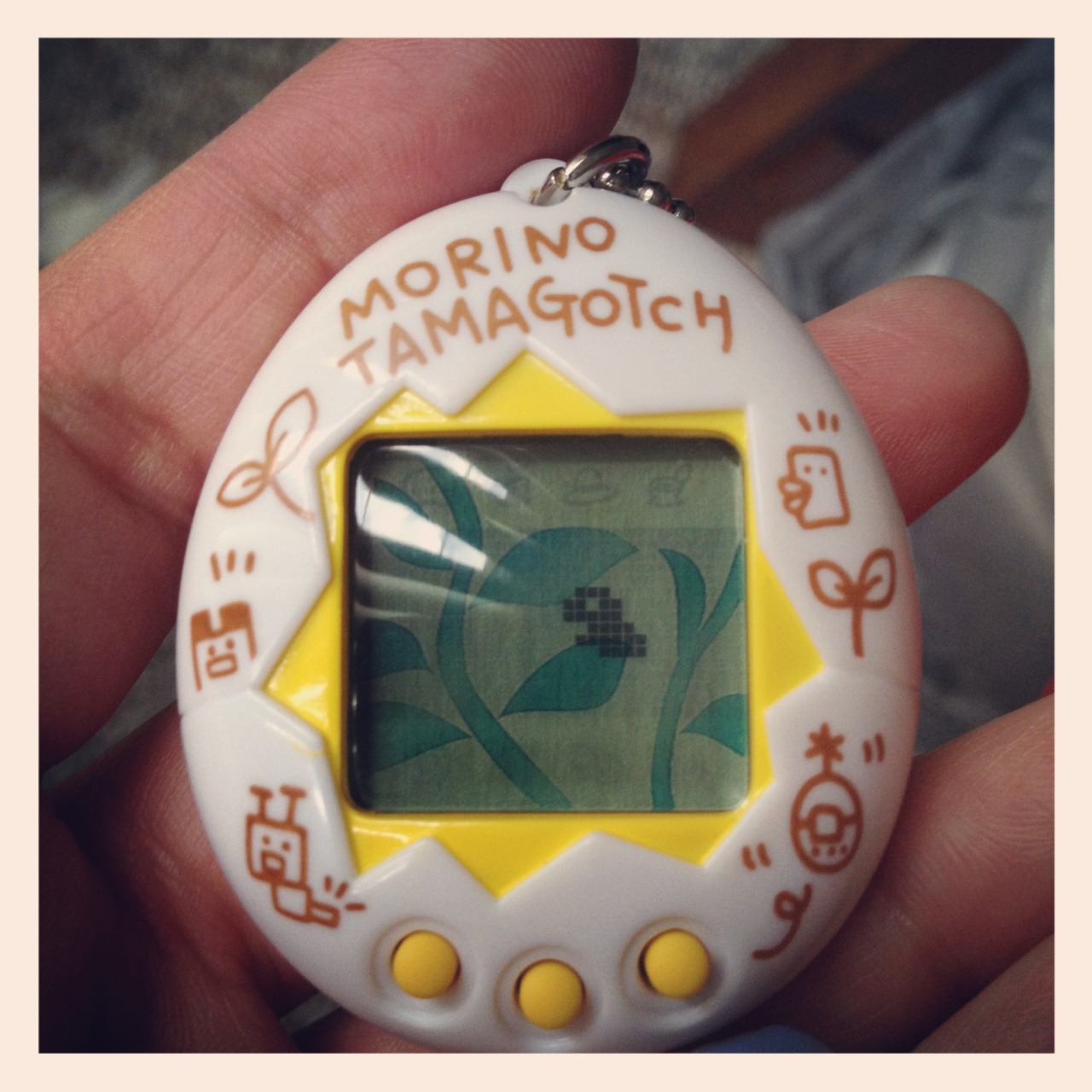Finally got a white Morino!