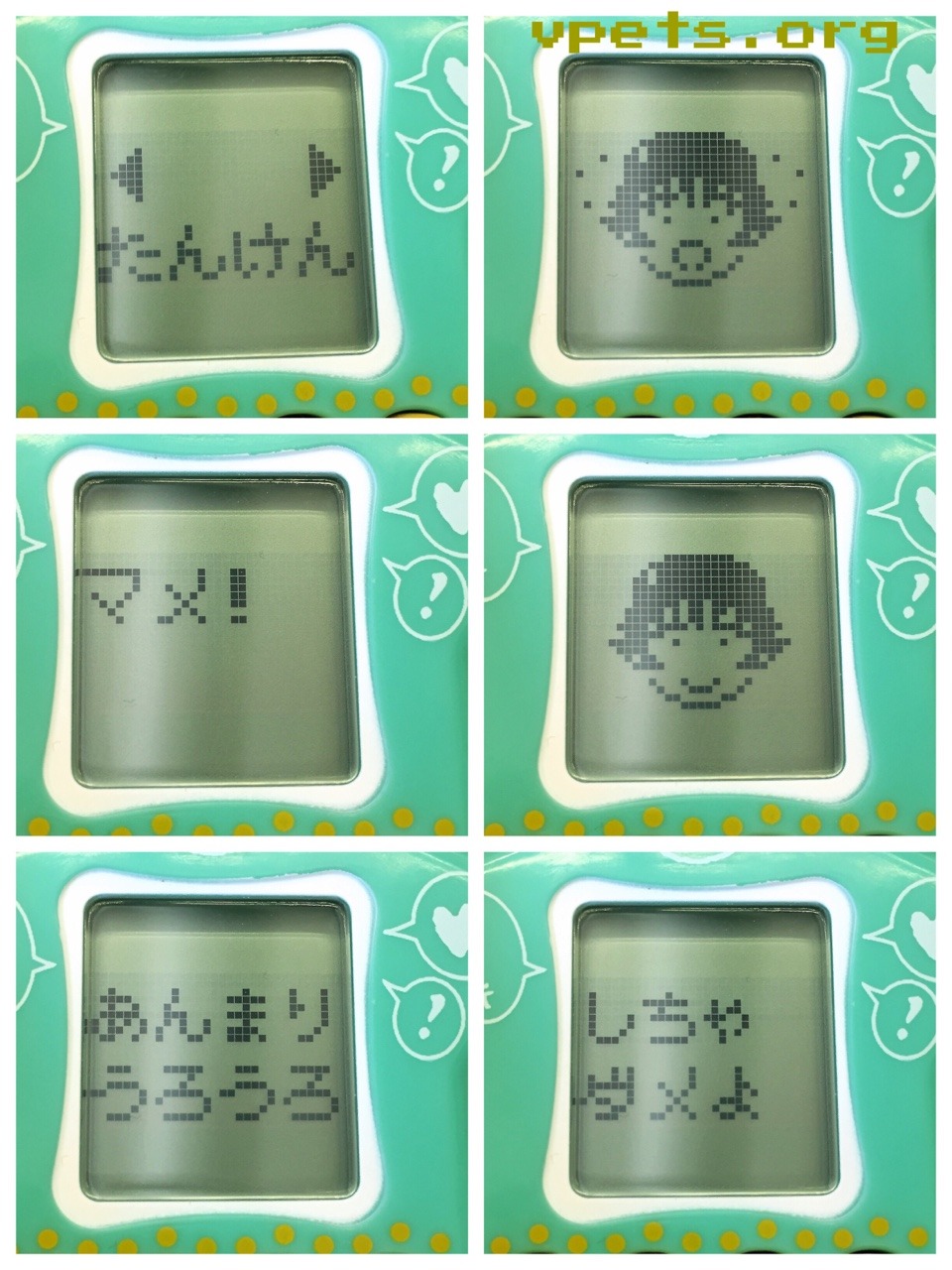 A virtual pet adventure